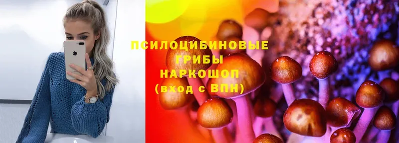 Галлюциногенные грибы Magic Shrooms Задонск